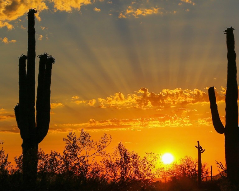 Connecting communities: Why Sun Corridor Network is bringing people online