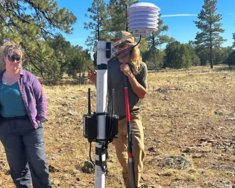 Accelerating Wildland Science Through Networks: SCN Welcomes Renée Brown